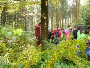 Photo 0780_Le_bois_des_brigands_001.jpg