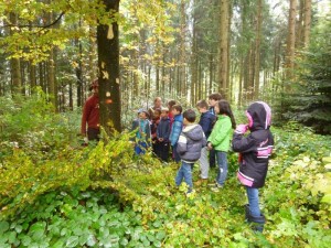 Photo 0780_Le_bois_des_brigands_002.jpg