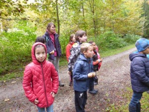 Photo 0780_Le_bois_des_brigands_004.jpg