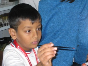 Photo 1240_001.JPG