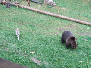 Photo 1320_013.jpg