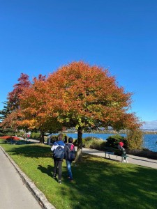 Photo 2011_001.jpg
