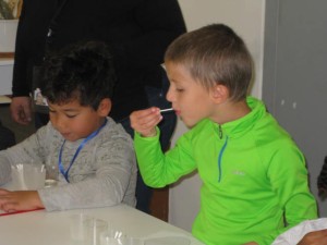 Photo 6170_010.JPG