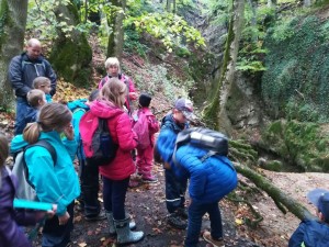 Photo 6230_004.jpg