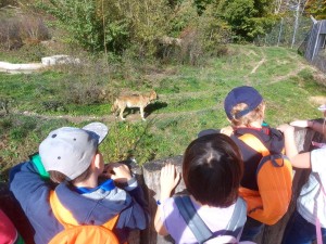 Photo 6270_003.jpg